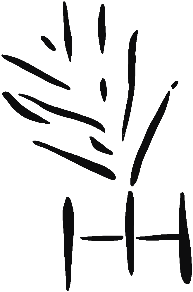 Image of the occurrence